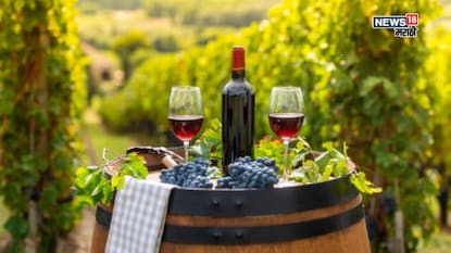 Agriculture News Agriculture News