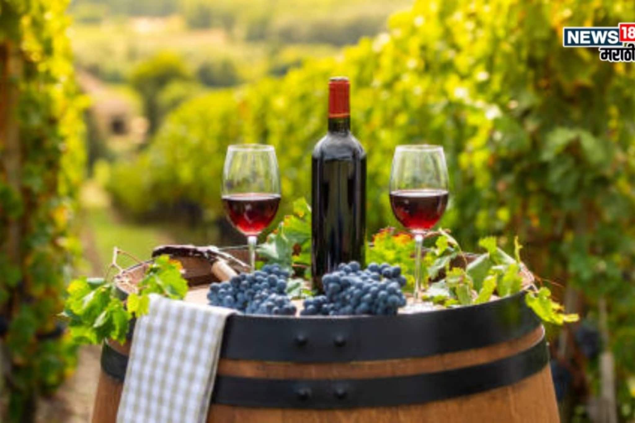 द्राक्षाच्या उत्पादनात घट, वाइन उद्योगाला मोठा फटका, क्वालिटीत फरक होणार का? द्राक्षाच्या उत्पादनात घट, वाइन उद्योगाला मोठा फटका, क्वालिटीत फरक होणार का?