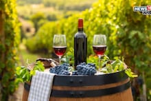 द्राक्षाच्या उत्पादनात घट, वाइन उद्योगाला मोठा झटका, क्वालिटीत फरक होणार का?