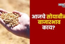 वाशिममध्ये पिवळ्या सोयाबीनच्या दराने गाठला उच्चांक, गुरुवारचे बाजारभाव काय?