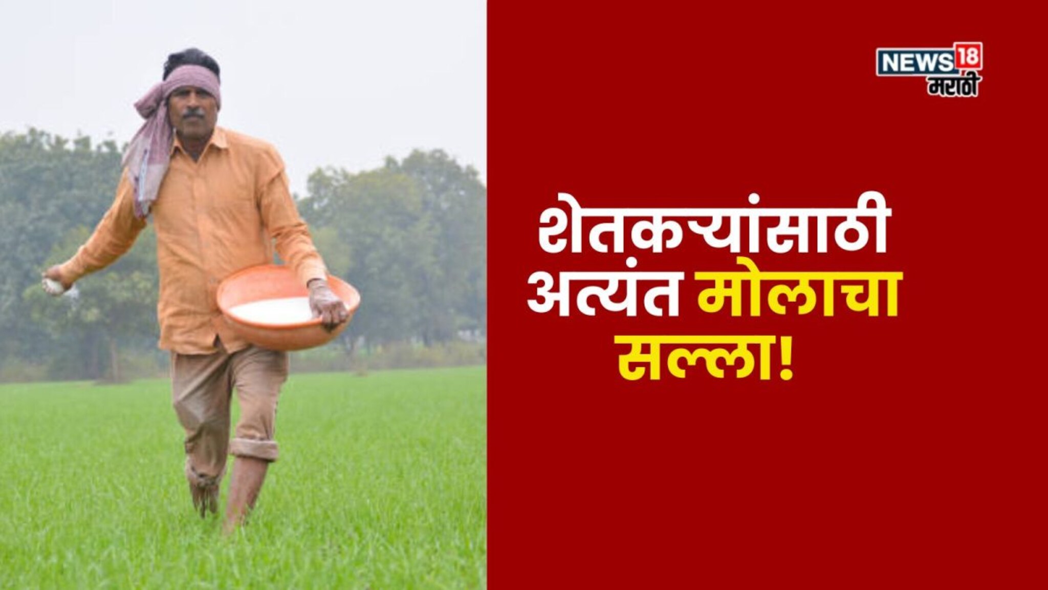 शेतकऱ्यांसाठी अत्यंत मोलाचा सल्ला! फक्त 50 रुपयांचा चार्ट, करेल हजारो रुपयांच्या यूरियाची बचत