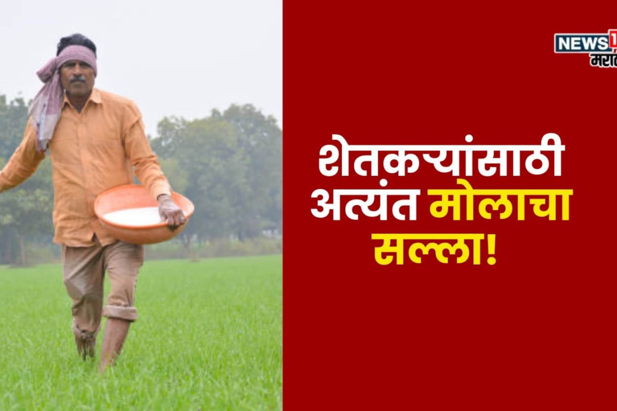 फक्त 50 रुपयांचा चार्ट, करेल हजारो रुपयांच्या यूरियाची बचत फक्त 50 रुपयांचा चार्ट, करेल हजारो रुपयांच्या यूरियाची बचत