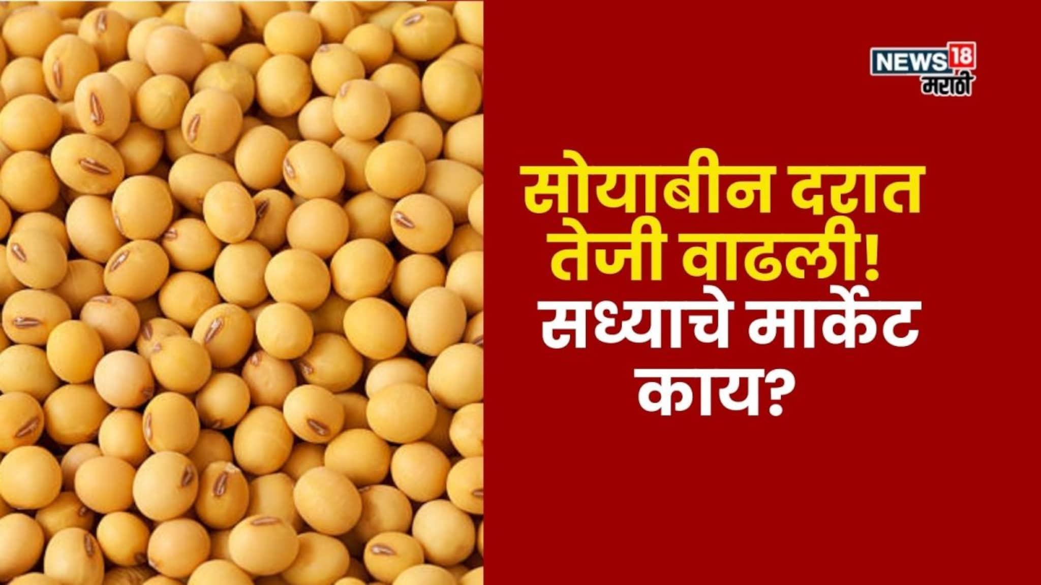 सोयाबीनच्या दरात पुन्हा तेजी! आज कुठे किती मिळाला भाव? वाचा सविस्तर