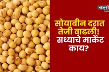 सोयाबीनच्या दरात पुन्हा तेजी! आज कुठे किती मिळाला भाव? वाचा सविस्तर