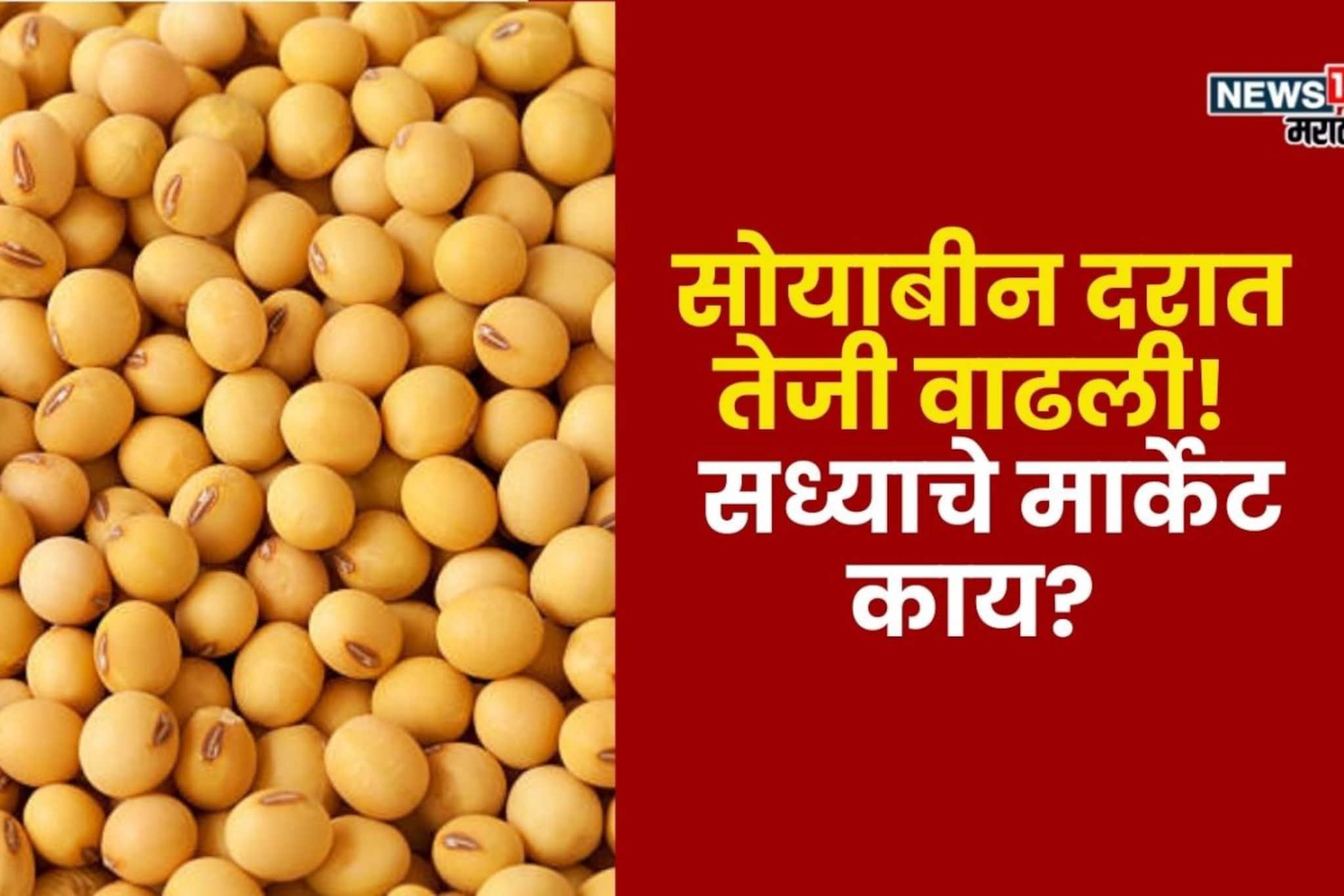 सोयाबीनच्या दरात पुन्हा तेजी! आज कुठे किती मिळाला भाव? वाचा सविस्तर