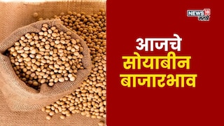 soyabean market soyabean market