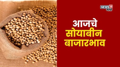 soyabean market soyabean market