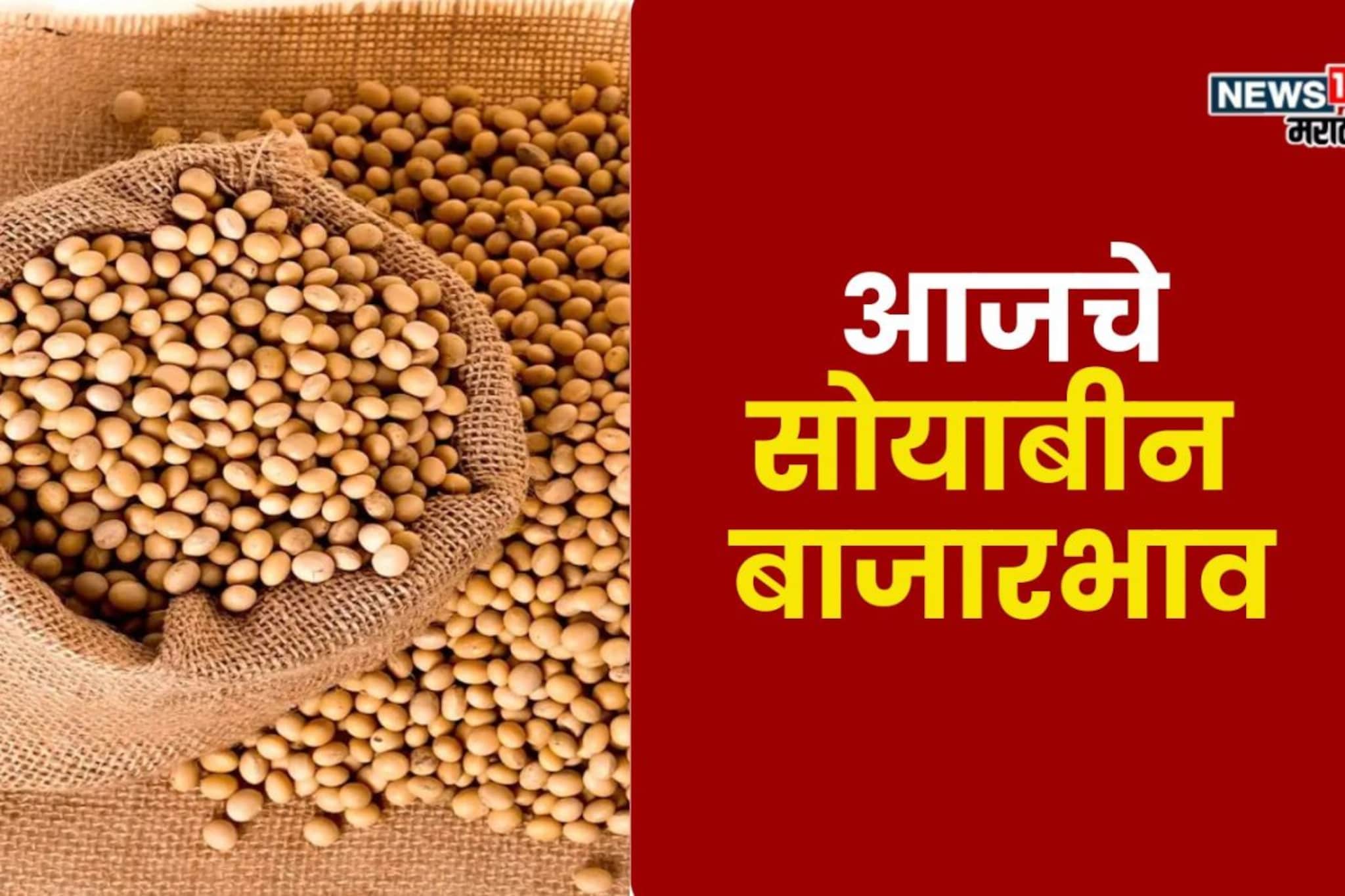 वाशीममध्ये सोयाबीनच्या दराने 5000 टप्पा ओलांडला! आजचे बाजारभाव काय? वाशीममध्ये सोयाबीनच्या दराने 5000 टप्पा ओलांडला! आजचे बाजारभाव काय?