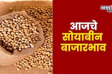 वाशीममध्ये सोयाबीनच्या दराने 5000 टप्पा ओलांडला! इतर जिल्ह्यांमध्ये बाजारभाव काय?
