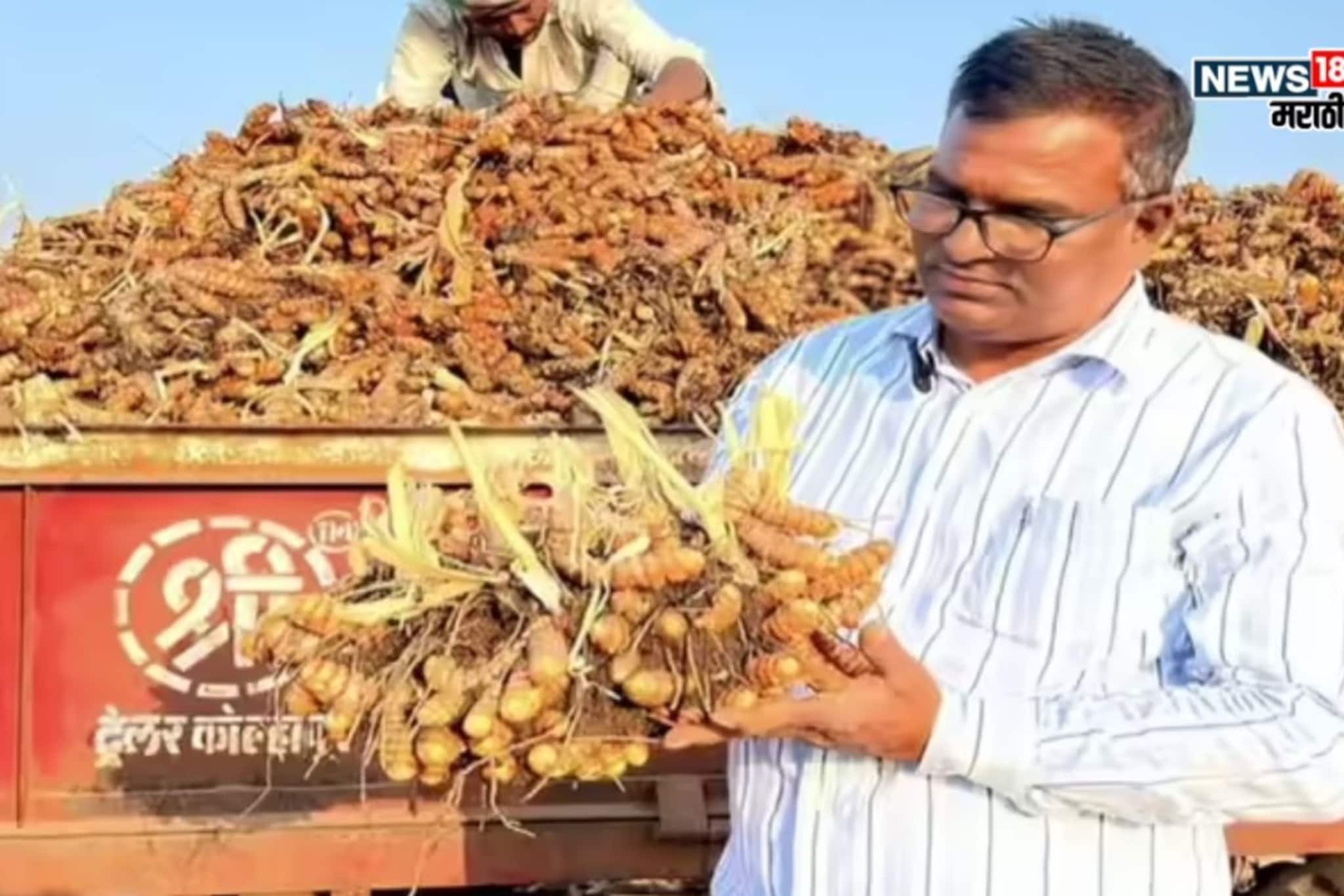 सांगलीच्या तोडकरांनी केली कमाल! पारंपरिक शेतीतला देशी फॉर्म्युला ठरला वरदान सांगलीच्या तोडकरांनी केली कमाल! पारंपरिक शेतीतला देशी फॉर्म्युला ठरला वरदान