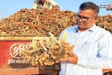 सांगलीच्या तोडकरांनी केली कमाल! पारंपरिक शेतीतला देशी फॉर्म्युला ठरला वरदान, आता करताय लाखोंत कमाई