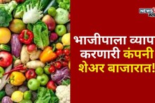 भाजीपाला व्यापार करणारी कंपनी शेअर बाजारात! आयपीओत एका शेअरची किंमत किती?