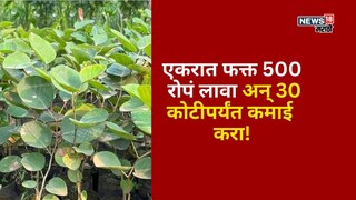 Agriculture News Agriculture News