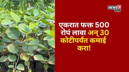 Agriculture News Agriculture News