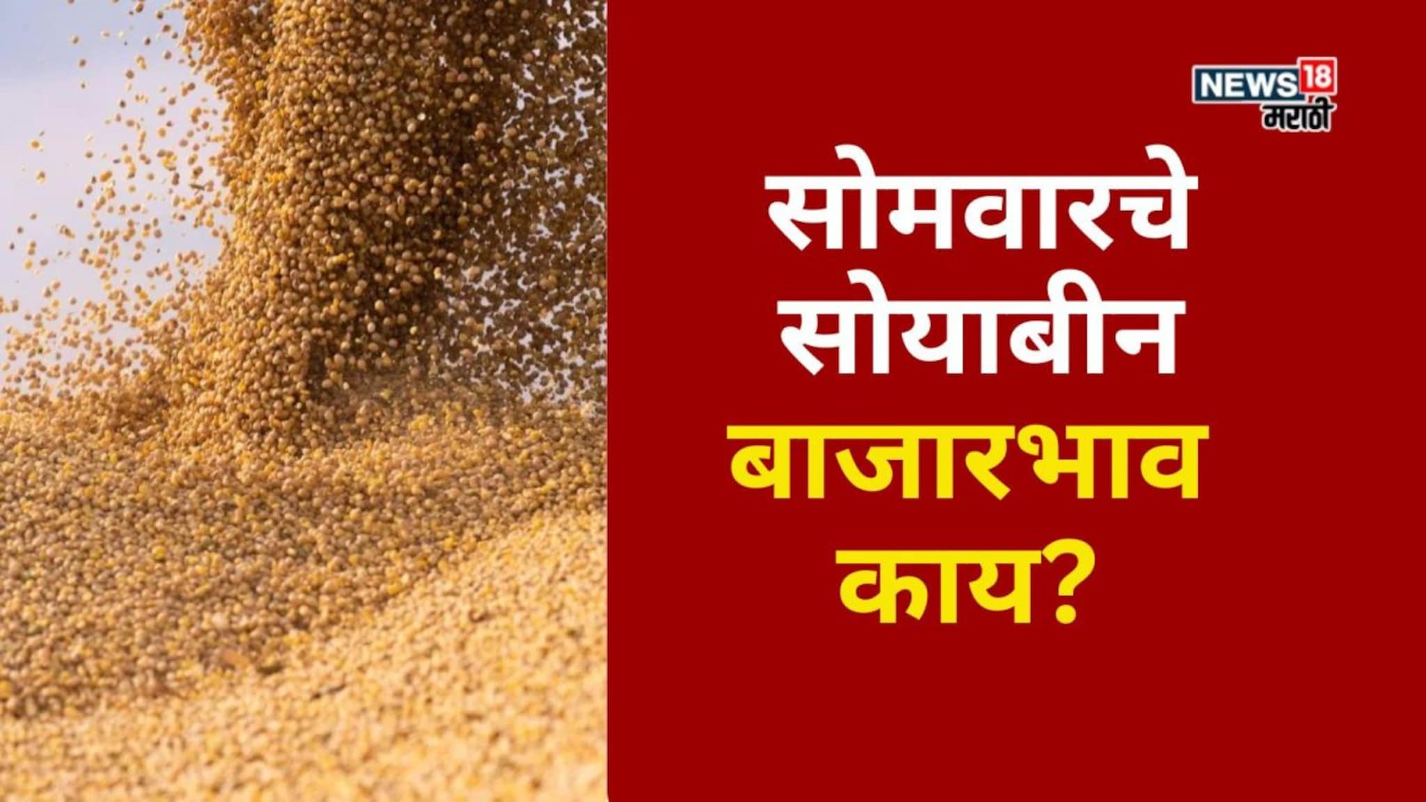 आठवड्याच्या सुरुवातीलाच आवक वाढली! सोयाबीनच्या दरात घसरण होणार?