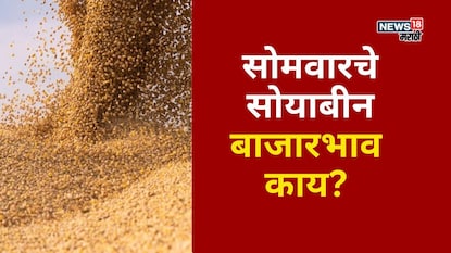 Soyabean Market Soyabean Market