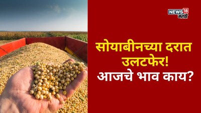 Soyabean Market Update 