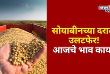 सोयाबीनच्या दरात उलटफेर! वाशीममध्ये 6,000 टप्पा ओलांडला, आजचे भाव काय?