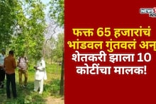 फक्त 65 हजारांचं भांडवल गुंतवलं, या 200 झाडांची लागवड केली अन् शेतकरी झाला 10 कोटींचा मालक!