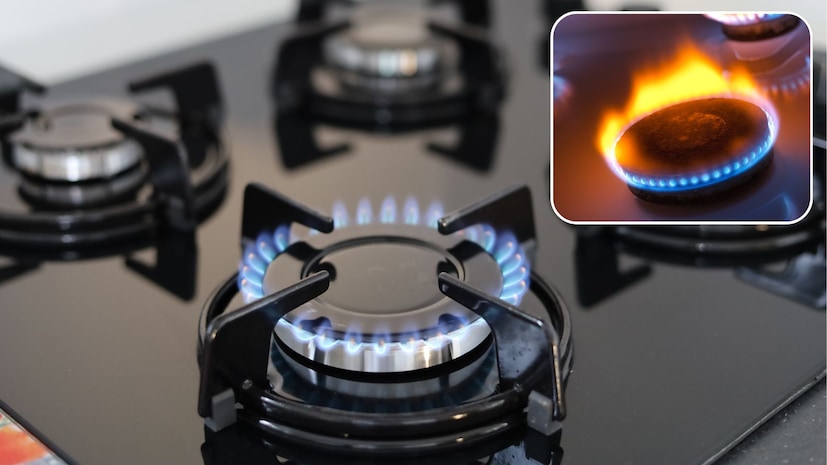 गॅस बर्नरवरील ग्रीस आणि कार्बनचे साठे केवळ स्वयंपाकघराचे स्वरूप खराब करत नाहीत तर ज्वालादेखील कमकुवत करतात. बेकिंग सोडा, व्हिनेगर, लिंबू, मीठ, गरम पाणी, डिशवॉशिंग डिटर्जंट आणि टूथपेस्ट सारखे घरगुती उपाय बर्नर सहजपणे स्वच्छ करू शकतात. तसेच त्यांची चमक परत मिळवू शकतात. नियमित साफसफाई बर्नर जळण्यापासून किंवा अडकण्यापासून रोखते आणि स्वयंपाकघर स्वच्छ ठेवते. गॅस बर्नरवरील ग्रीस आणि कार्बनचे साठे केवळ स्वयंपाकघराचे स्वरूप खराब करत नाहीत तर ज्वालादेखील कमकुवत करतात. बेकिंग सोडा, व्हिनेगर, लिंबू, मीठ, गरम पाणी, डिशवॉशिंग डिटर्जंट आणि टूथपेस्ट सारखे घरगुती उपाय बर्नर सहजपणे स्वच्छ करू शकतात. तसेच त्यांची चमक परत मिळवू शकतात. नियमित साफसफाई बर्नर जळण्यापासून किंवा अडकण्यापासून रोखते आणि स्वयंपाकघर स्वच्छ ठेवते.