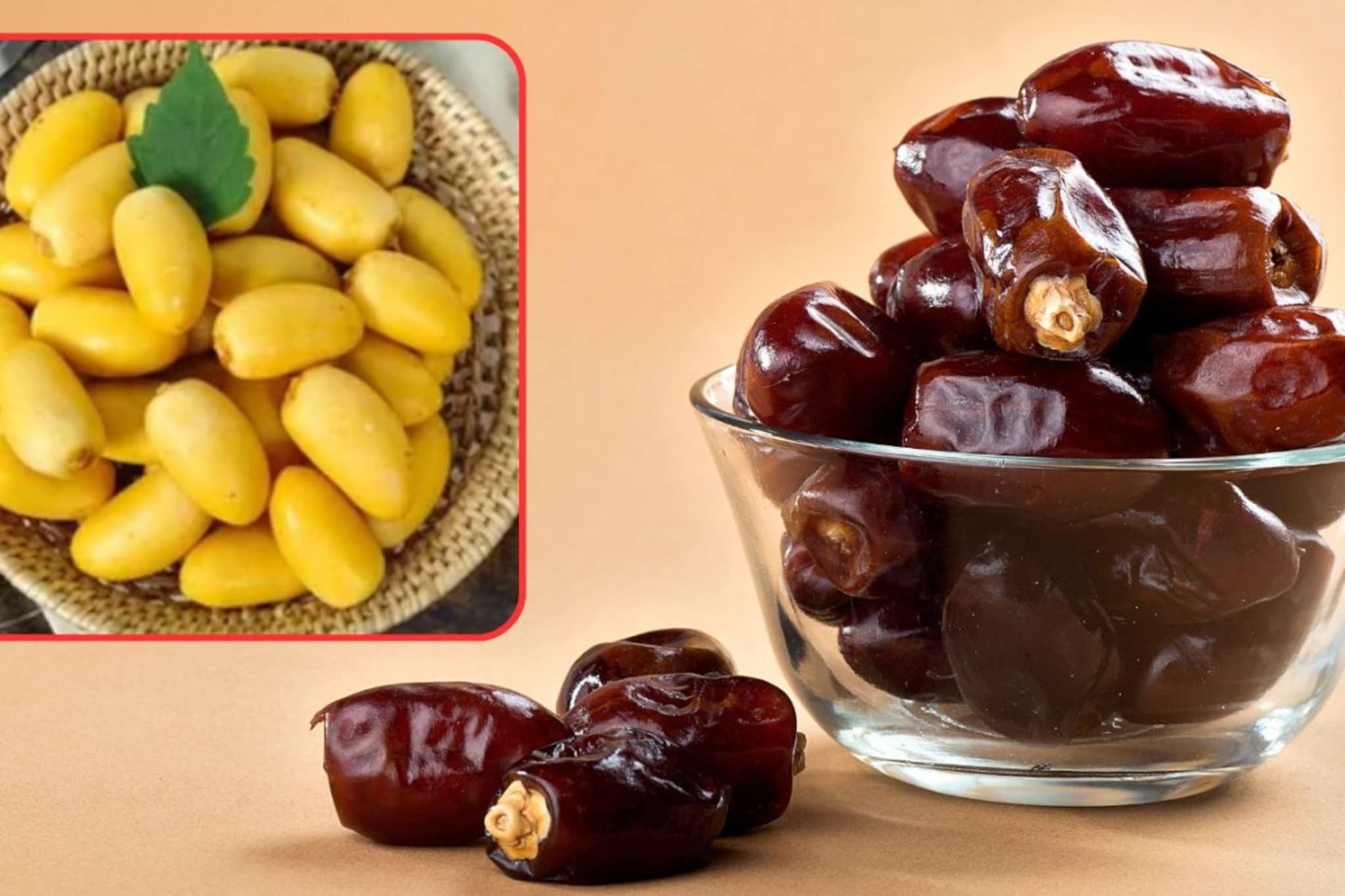 काळे की पिवळे कोणते खजूर आरोग्यासाठी जास्त फायदेशीर? पाहा खाण्याची योग्य पद्धत काळे की पिवळे कोणते खजूर आरोग्यासाठी जास्त फायदेशीर? पाहा खाण्याची योग्य पद्धत