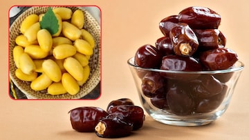 काळे की पिवळे कोणते खजूर आरोग्यासाठी जास्त फायदेशीर? पाहा खाण्याची योग्य पद्धत काळे की पिवळे कोणते खजूर आरोग्यासाठी जास्त फायदेशीर? पाहा खाण्याची योग्य पद्धत