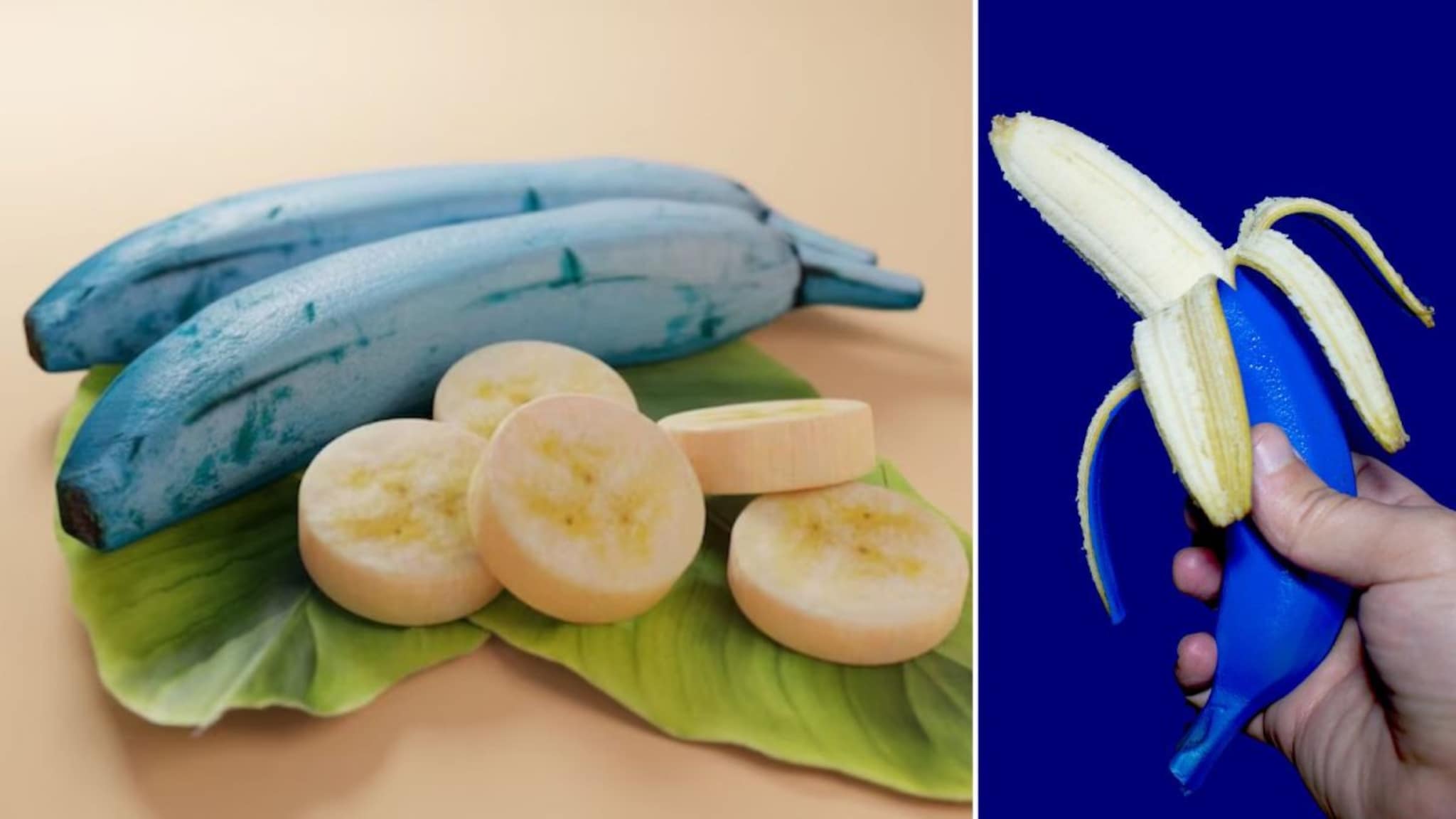 Blue Banana : वजन कमी करण्यासह इम्युनिटी वाढवण्यास मदत करते निळी केळी! फायदे वाचून थक्क व्हाल..