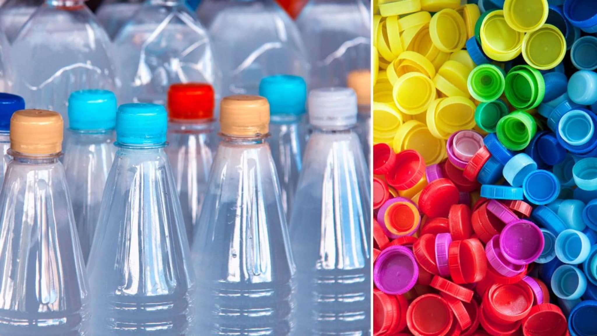 Interesting Facts : पाण्याची बाटली घेताना झाकणाचा रंगही पाहा; जाणून घ्या हिरव्या, निळ्या, लाल रंगाचा अर्थ काय?