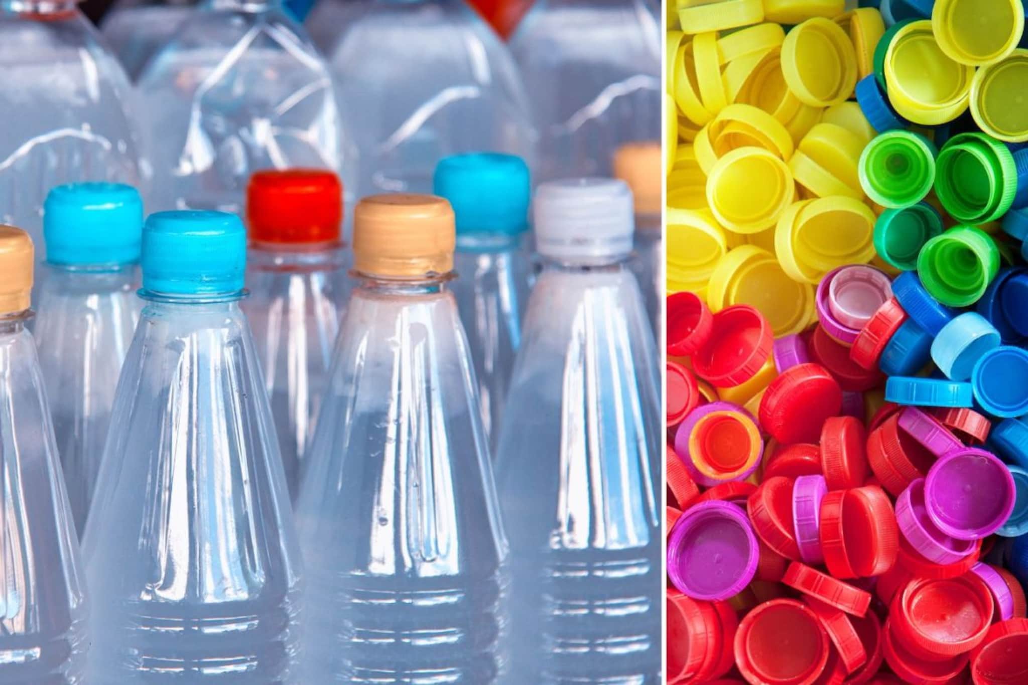 पाण्याची बाटली घेताना झाकणाचा रंगही पाहा; जाणून घ्या वेगवेगळ्या रंगाचा अर्थ पाण्याची बाटली घेताना झाकणाचा रंगही पाहा; जाणून घ्या वेगवेगळ्या रंगाचा अर्थ