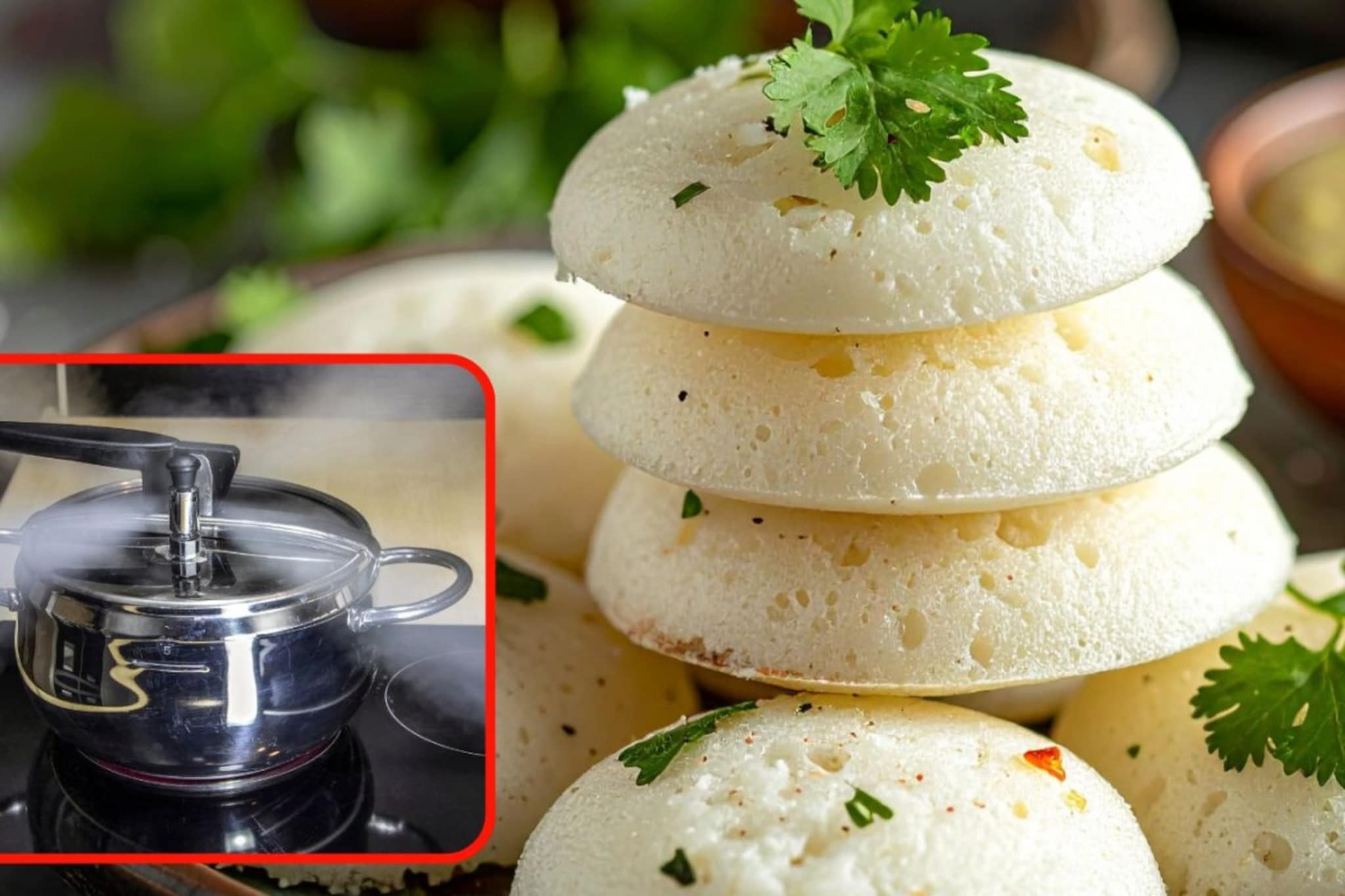 एकाचवेळी बनवा 30 इडल्या, तेही कुकरमध्ये! गृहिणीने सांगितली भन्नाट आयडिया.. एकाचवेळी बनवा 30 इडल्या, तेही कुकरमध्ये! गृहिणीने सांगितली भन्नाट आयडिया..