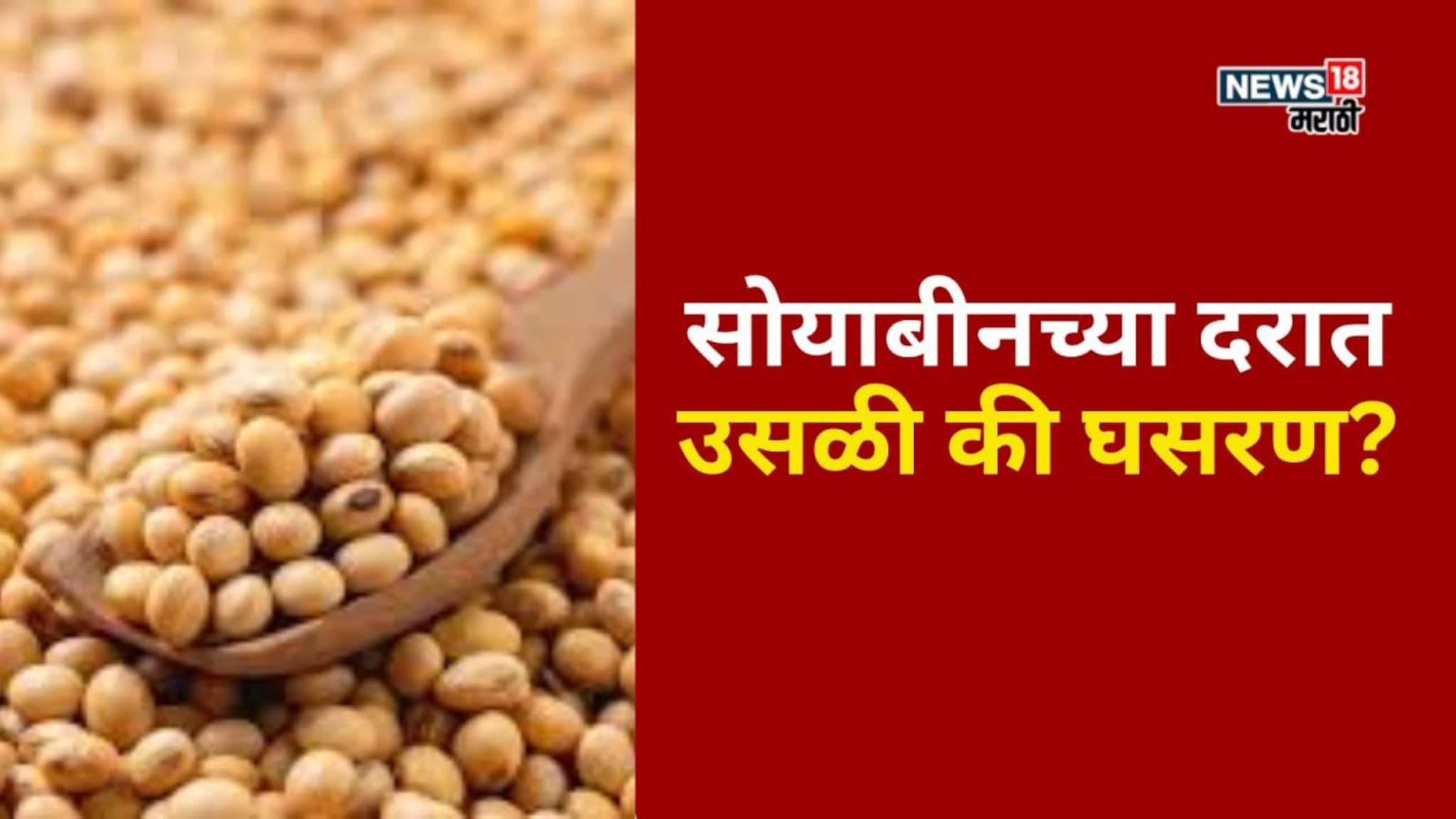 सोयाबीनच्या दरात उसळी की घसरण? बुधवारचे बाजार भाव काय?
