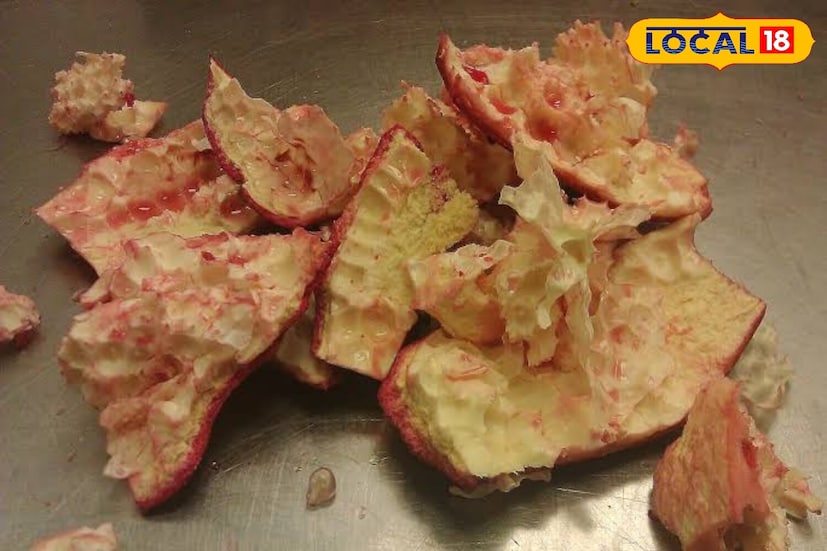 ही पेस्ट चेहऱ्यावरील काळे डाग, रंगद्रव्य आणि डागांवर लावा. 10 ते 15 मिनिटांनी कोमट पाण्याने स्वच्छ धुवा. आठवड्यातून 2 ते 3 वेळा असे करा आणि तुम्हाला परिणाम दिसतील. ही पेस्ट लावल्याने हळूहळू काळे डाग कमी होतील, रंगद्रव्य कमी होईल, तुमच्या चेहऱ्याची चमक वाढेल आणि मुरुमांचे डाग कमी होतील. डाळिंबाच्या सालीची पावडर ही केवळ त्वचेवर उपचार नाही तर तोंडाची दुर्गंधी आणि हिरड्यांच्या दुखण्यावर घरगुती उपाय देखील आहे.