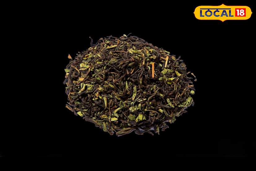 निलगिरी ही एक सुगंधी औषधी वनस्पती आहे, ज्याच्या पानांमध्ये निलगिरी असते. जी एक संयुग आहे जी बॅक्टेरियाच्या वाढीस प्रतिबंध करणारा पदार्थ, अँटीव्हायरल आणि अँटी-इंफ्लेमेटरी आहे. या कारणास्तव, खोकला, सर्दी, ब्राँकायटिस आणि इतर अनेक श्वसन समस्यांवर उपचार करण्यासाठी निलगिरीचा वापर केला जातो.