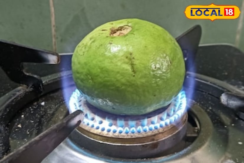 भाजलेला पेरू सर्दी, खोकला आणि फ्लूसाठी देखील प्रभावी मानला जातो. त्यात व्हिटॅमिन सी भरपूर प्रमाणात असते, जे शरीराची रोगप्रतिकारक शक्ती वाढवते. हिवाळ्यात ते गरम खाल्ल्याने घसा खवखवणे कमी होते आणि वारंवार होणारी सर्दी टाळता येते.