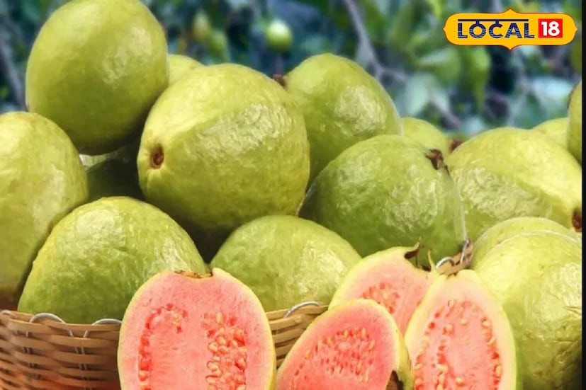 भाजलेला पेरू हृदयाच्या आरोग्यासाठी देखील फायदेशीर आहे. त्यात पोटॅशियम आणि अँटीऑक्सिडंट्स असतात, जे रक्तदाब नियंत्रित करण्यास आणि हृदय मजबूत करण्यास मदत करतात. ते नियमितपणे कमी प्रमाणात सेवन केल्याने हृदयरोगाचा धोका कमी होतो.