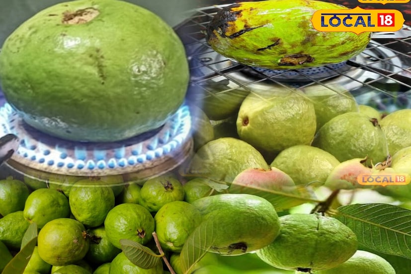 त्याच्या वापराबद्दल पेरू थेट आगीवर किंवा गॅसच्या चुलीवर हलके भाजले जाते. नंतर त्यावर काळे मीठ, लिंबू आणि थोडी लाल तिखट मिरची टाकली जाते. त्याची चव वाढवण्यासोबतच त्याचे औषधी गुणधर्म देखील अधिक प्रभावी होतात. मात्र कोणत्याही आजारासाठी ते औषधाचा पर्याय मानू नका. त्याऐवजी ते घरगुती उपाय म्हणून घ्या.