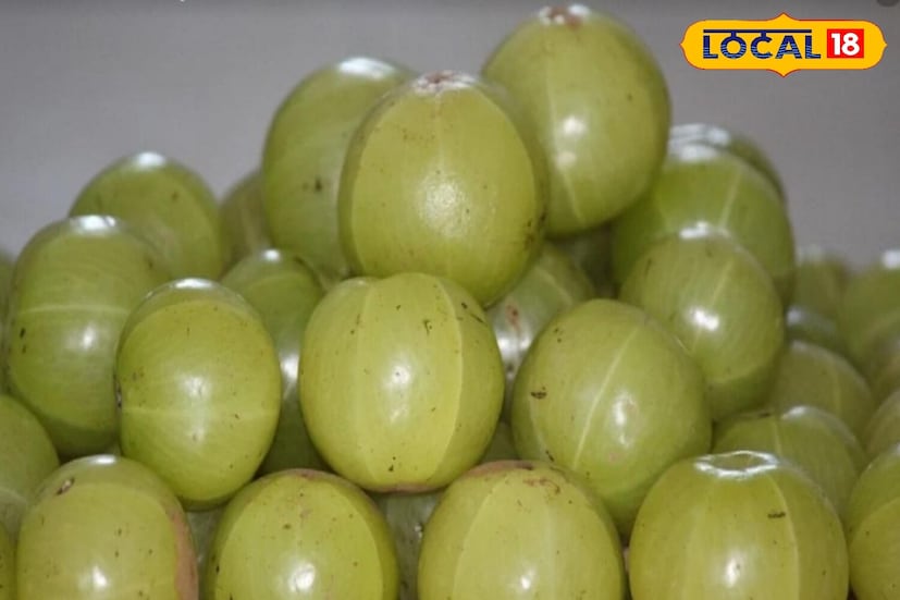 हिवाळ्यात आवळा हा आवडता आहे. हे फळ औषधी गुणधर्मांनीही समृद्ध आहे. तुम्ही ते तुमच्या आहारात चटणी, जाम, लोणचे किंवा फक्त स्वरूपात समाविष्ट करू शकता. रिकाम्या पोटी आवळा खाल्ल्याने अनेक फायदे होतात. आवळा केवळ त्वचेसाठीच नाही तर केसांसाठी देखील फायदेशीर आहे.