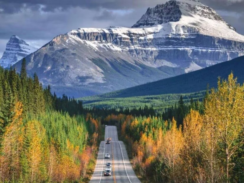 घनदाट वर्षावनांपासून ते ओसाड वाळवंटांपर्यंत विविध प्रकारच्या भूदृश्यांमधून जाणारा हा रस्ता जगातील सर्वात लांब महामार्गच नाही तर त्याच्या सर्वात प्रतिष्ठित महामार्गांपैकी एक आहे. या रस्त्यावरील प्रवास हवामान आणि वातावरणाचा सतत बदलणारा अनुभव देतो.