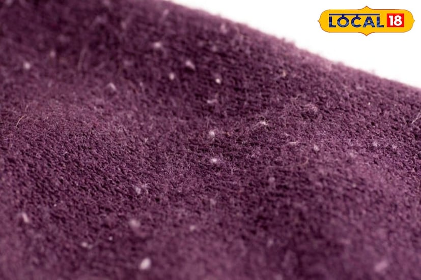 हिवाळा येताच स्वेटर, जॅकेट आणि ब्लँकेट्स ही रोजची गरज बनतात. मात्र काही काळ वापरल्यानंतर लिंट ही एक सामान्य समस्या निर्माण होते. यामुळे चमक मंदावते आणि नवीन लूक खराब होतो. विशेषतः या डिजिटल युगात जेव्हा प्रत्येकजण स्टायलिश दिसू इच्छितो. हिवाळा येताच स्वेटर, जॅकेट आणि ब्लँकेट्स ही रोजची गरज बनतात. मात्र काही काळ वापरल्यानंतर लिंट ही एक सामान्य समस्या निर्माण होते. यामुळे चमक मंदावते आणि नवीन लूक खराब होतो. विशेषतः या डिजिटल युगात जेव्हा प्रत्येकजण स्टायलिश दिसू इच्छितो.