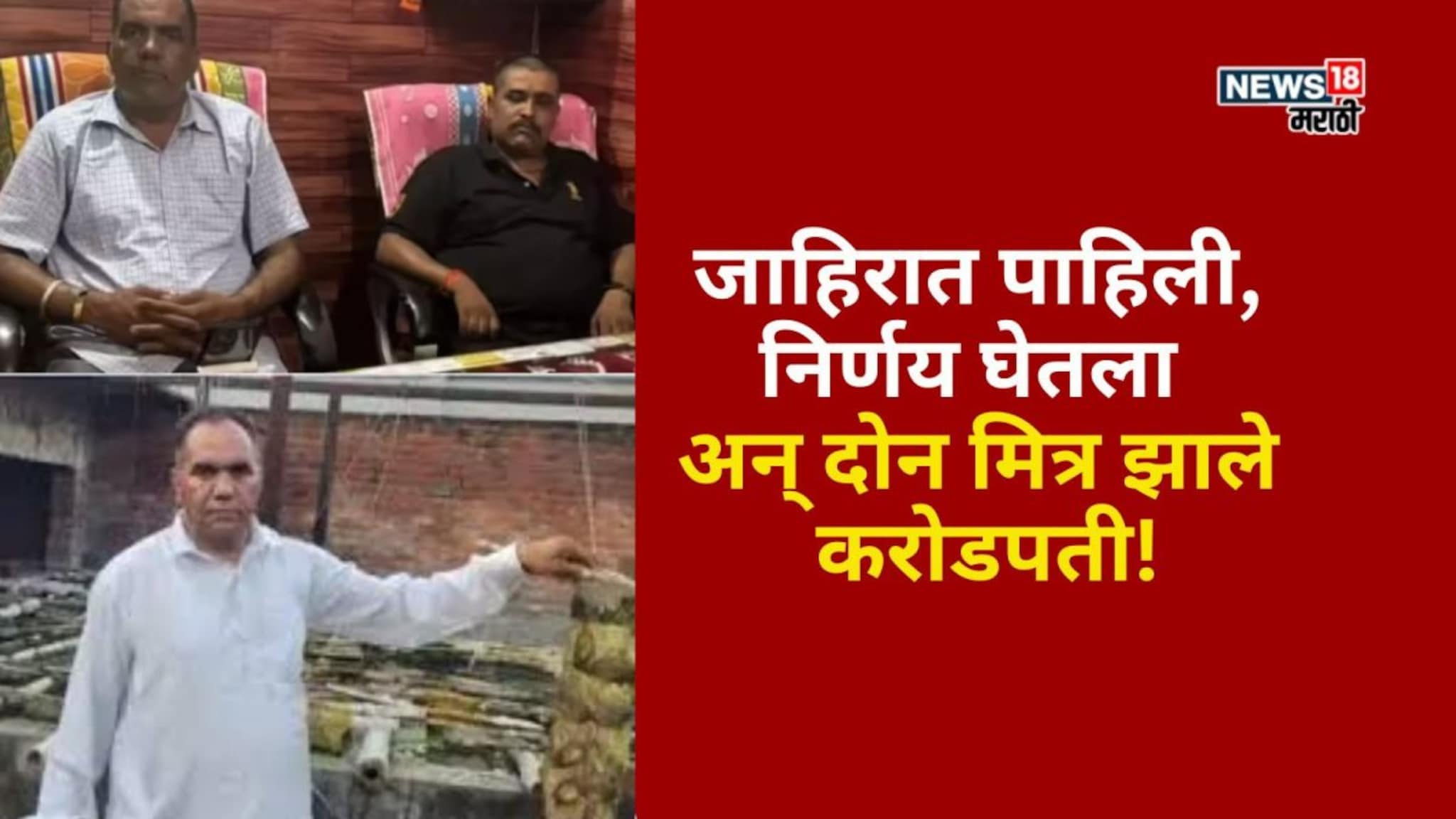 मोबाईल बघताना जाहिरात दिसली! मित्रांनी नोकरी सोडली अन्  या शेतीतून झाले करोडपती