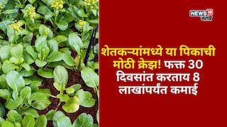 Agriculture News Agriculture News