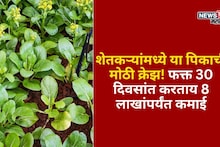 शेतकऱ्यांमध्ये या पिकाची मोठी क्रेझ! फक्त 30 दिवसांत करताय 8 लाखांपर्यंत कमाई