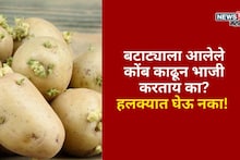 बटाट्याला आलेले कोंब काढून भाजी करताय का? हलक्यात घेऊ नका, कृषी तज्ज्ञांनी सांगितले गंभीर परिणाम