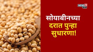 Soyabean Market Update 