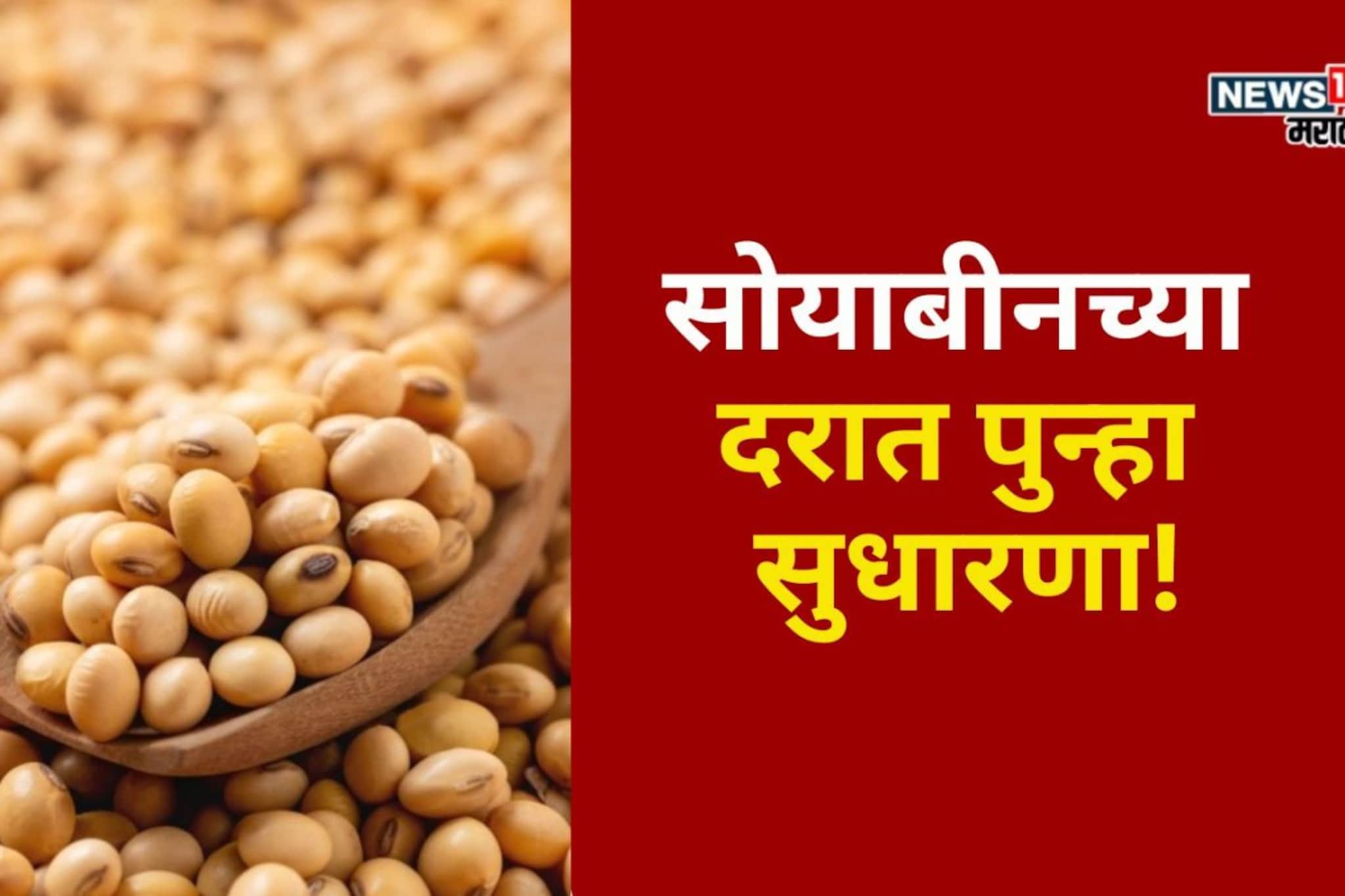 सोयाबीनच्या दरात पुन्हा सुधारणा! डिसेंबरच्या शेवटच्या 10 दिवसांत दर वाढणार का?