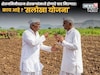 शेतजमिनीवरुन शेतकऱ्यांमध्ये होणारे वाद मिटणार! 'सलोखा योजना' काय आहे?