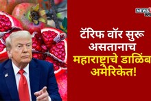 टॅरिफ वॉर सुरू असतानाच महाराष्ट्राचे डाळिंब अमेरिकेत, ट्रम्पला का घ्यावा लागला निर्णय?