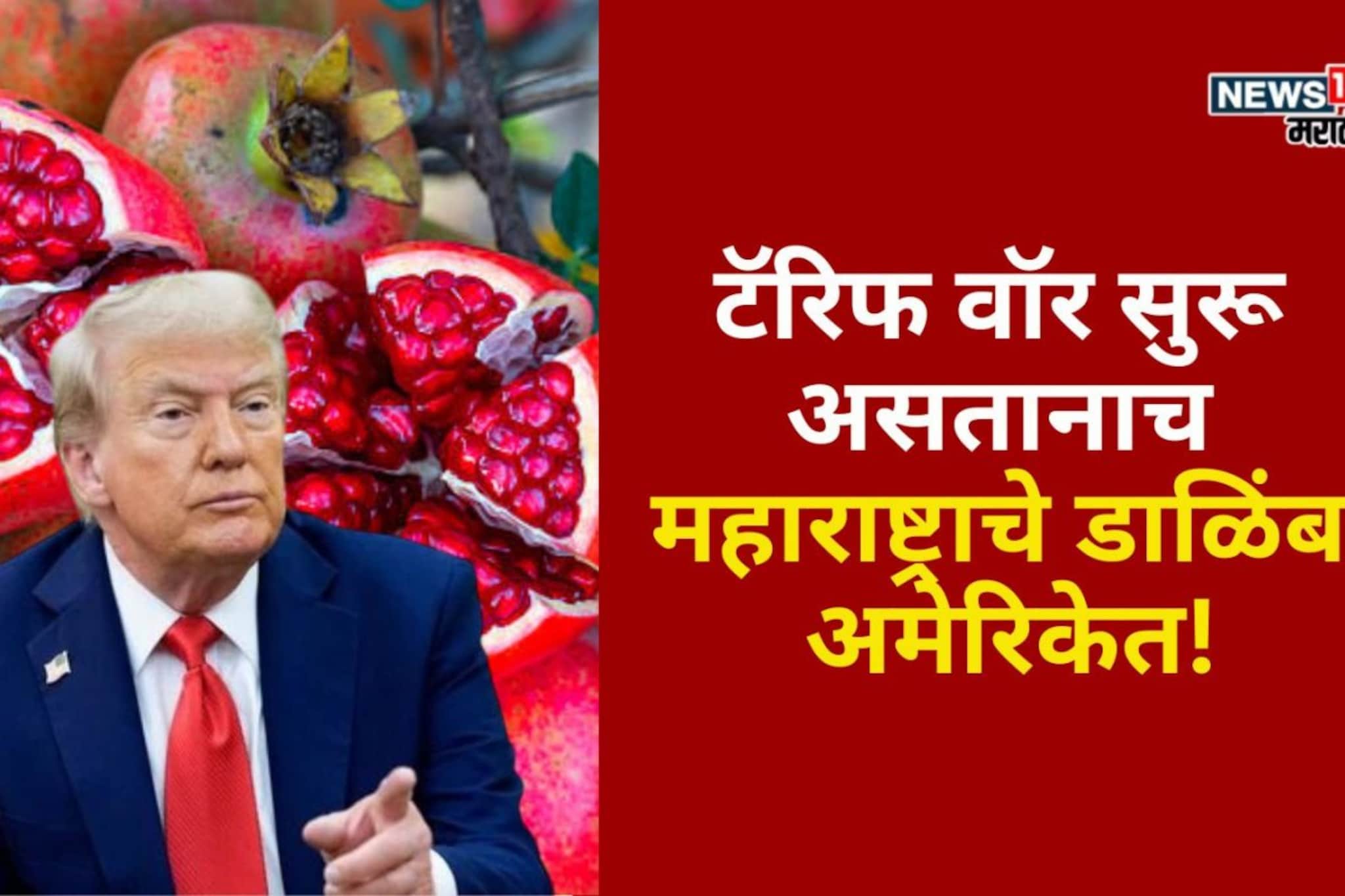 टॅरिफ वॉर सुरू असताना महाराष्ट्राचे डाळिंब अमेरिकेत,ट्रम्पने का घेतला निर्णय?