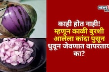 काही होत नाही! म्हणून काळी बुरशी आलेला कांदा पुसून धुवून जेवणात वापरताय का? एक्स्पर्टने सांगितले त्यामागचे गंभीर परिणाम