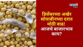 Soyabean Market Update 